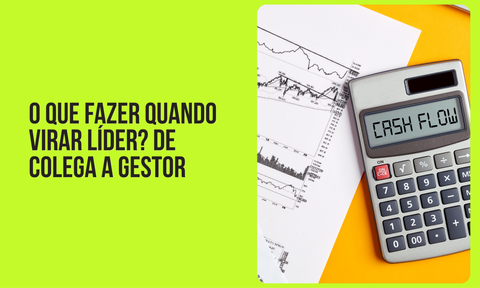 o que fazer quando virar líder